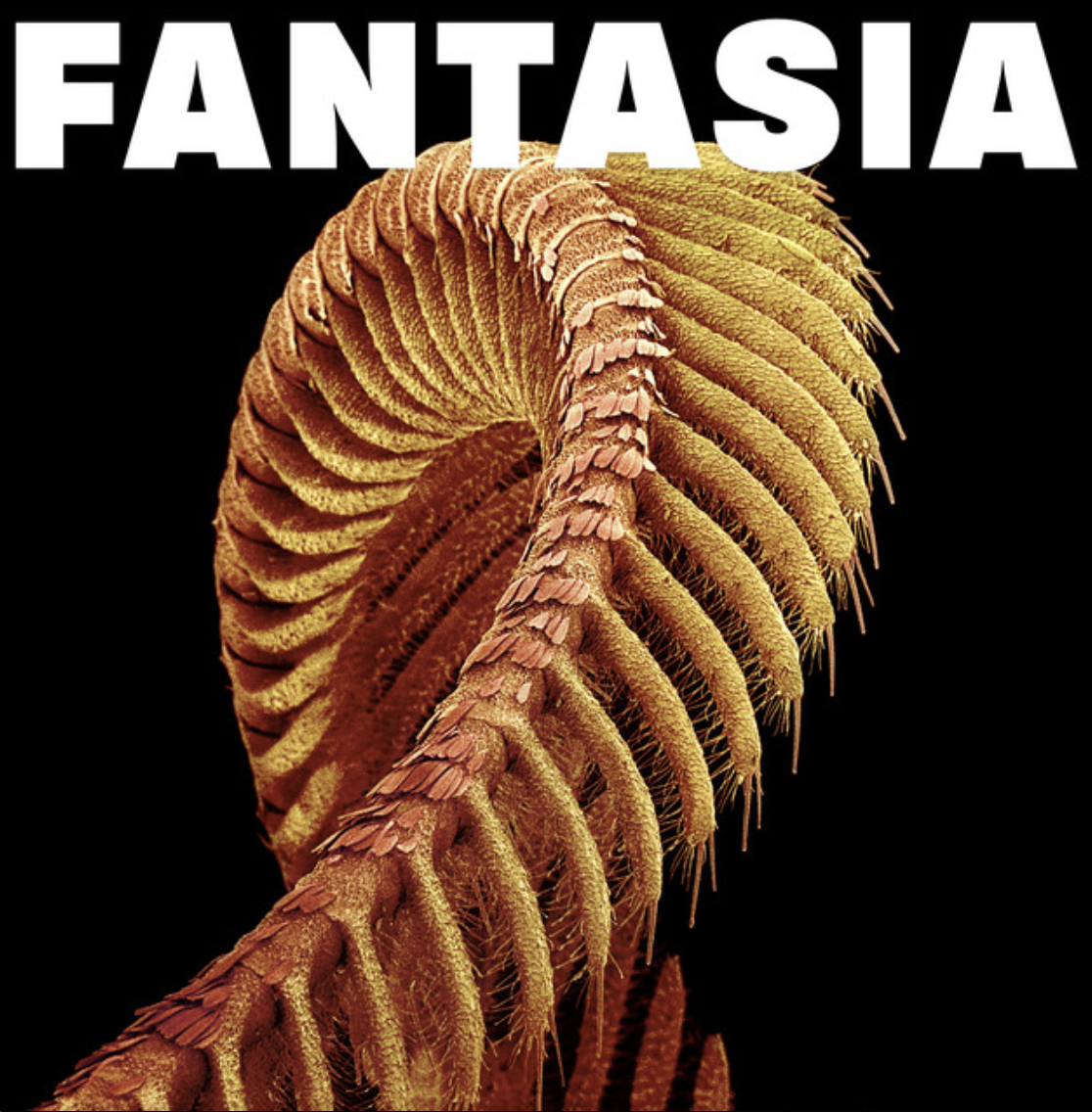Recensie